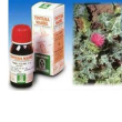 cardo mariano 6 50ml tm