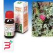 cardo mariano 6 50ml tm