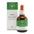 fucus sol ial 50ml