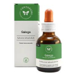 galega sol ial 50ml