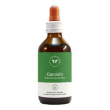 carciofo sol ial 100ml