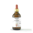 ribes gemme 100ml mg