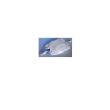 rusch 850342 racc 750ml t10 30
