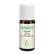 bergland cipresso oe 10ml
