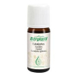 bergland eucalipto ess et 10ml
