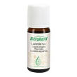 bergland lavanda vera oe 10ml