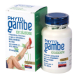 phytogambe plus 30 cpr