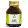 ginkgo biloba 100 capsule 380 mg