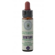gentian 12 10ml f.bach princeps