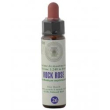 princeps fiori di bach 26 rock rose gocce 10ml