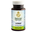 livomap 60 compresse