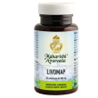 livomap 60 compresse