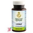 livomap 60 compresse