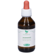 rosmarino macerato glicerico 100 ml ml soluzione orale