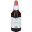 sangalli sequoia macerato glicerico gocce 100 ml orali