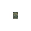 herboplanet tsa artemisia vulgaris gocce orali 50 ml orali