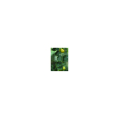 herboplanet tsa citrus limonum gocce orali 50 ml orali