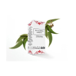 eucalipto 30ml gtt lindas