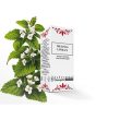 melissa gtt 30ml  lindas