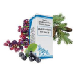 ampelopsis lindas gtt 50ml