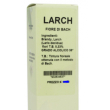 larix decidua 30ml flower