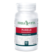 pilosella 60cps 400mg ebv<