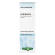 echinacea rx sol ial 50ml 50 ml soluzione