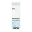 olivo tint ial 50ml ebv