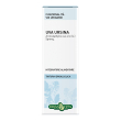 uva ursina foglie soluzione idroalcolica 50ml erbavita