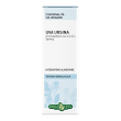 erba vita estratti liquidi - tintura idroalcolica uva ursina 50 ml