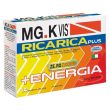 mgk vis ric plus 14bust