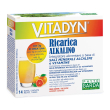 vitadyn ricarica 14 pz bustina