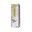 floragyn silver schiuma vaginale antirritazioni 50 ml