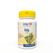 longlife® kelp 81 g compresse