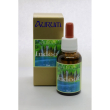 indoor 30ml gtt