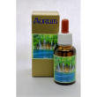 underwater 30ml gtt