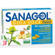 sanagol gola voce miele limone 24 caramelle