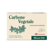 carbone vegetale marco viti 25 compresse
