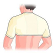 gibaud coprispalle anatomico 3