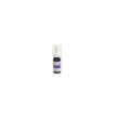 angelic essence 10 ml ml essenza