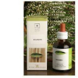 ginkgo bio 50ml stv