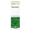 pino mugo olio ess.10ml ebv