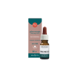 pino mugo olio essenziale erba vita 10 ml, effetto balsamico naturale