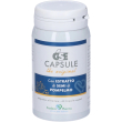 gse 60 capsule - integratore per l'equilibrio microbico dell'organismo