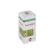 kos eucalipto olio essenziale gocce 20 ml essenziale