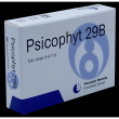 biogroup psicophyt remedy 29b 4tub 1,2g