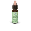 florit n33 noce 10ml    (es)