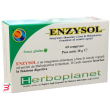 enzysol 60 compresse