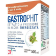 gastrophit macerato 500 ml