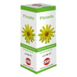pilosella sol ial pianta fr100